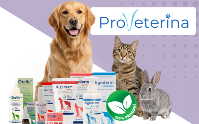Hojení ran a&nbsp;zánětů u&nbsp;psů a&nbsp;koček: představujeme ProVeterinu