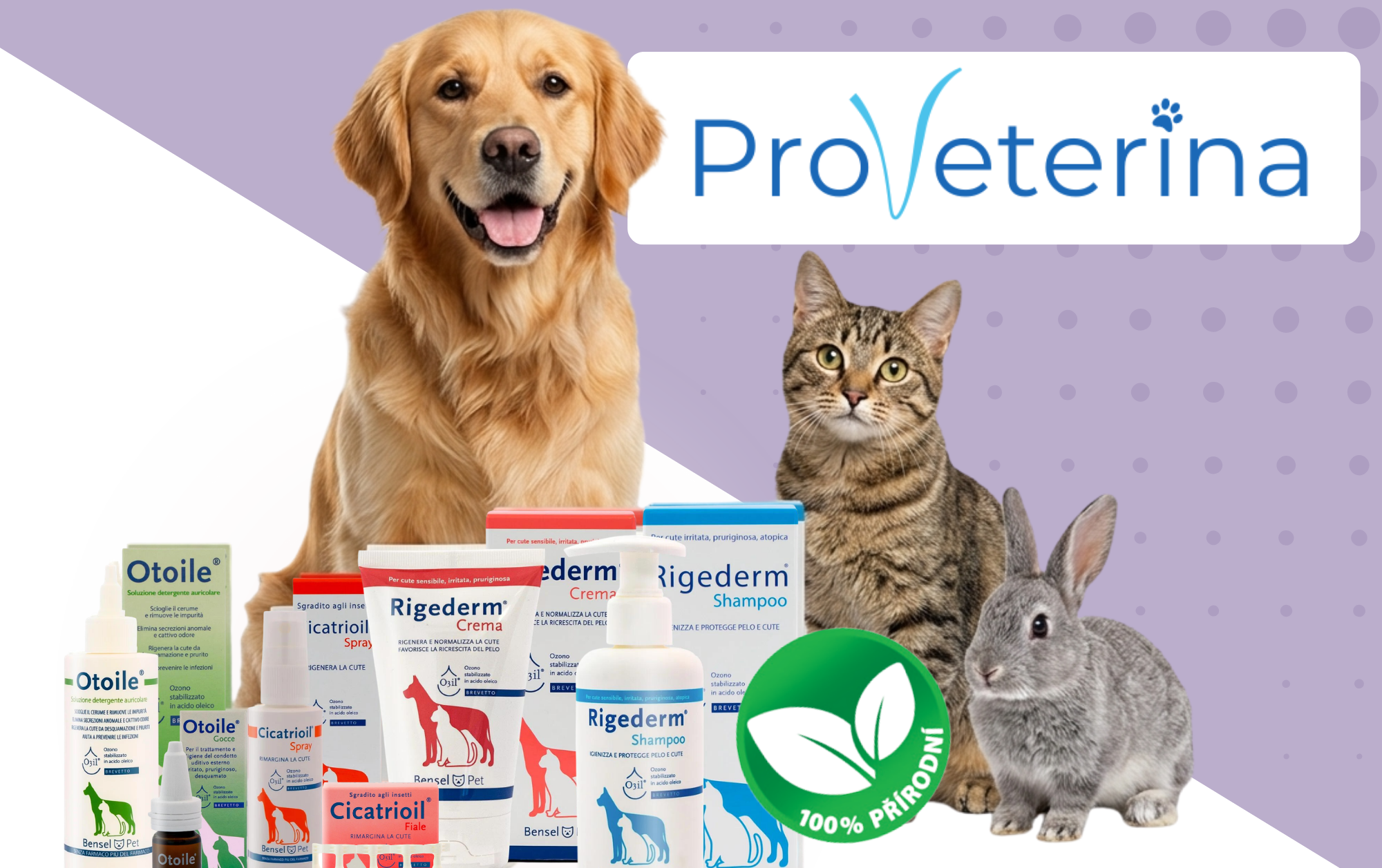 Hojení ran a&nbsp;zánětů u&nbsp;psů a&nbsp;koček: představujeme ProVeterinu